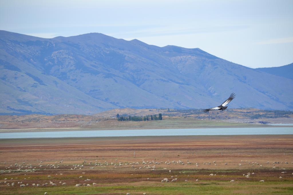 Madretierra Patagonia Hotel El Calafate Exterior photo